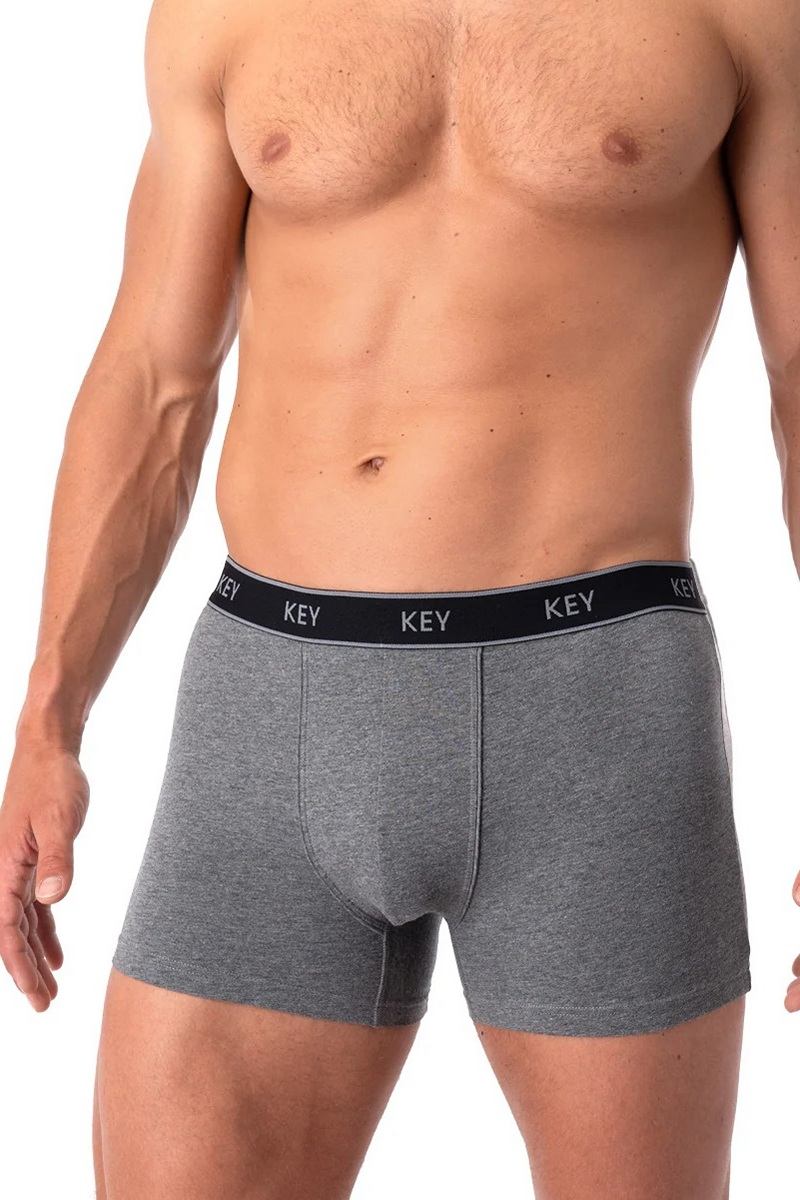 Трусы мужские облегающие боксеры серый MXH 222 KEY Польша