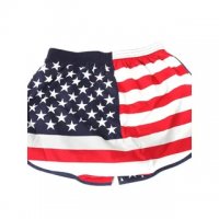 Трусы-шорты мужские хлопковые с принтом АМЕРИКАНСКИЙ ФЛАГ (Корея)