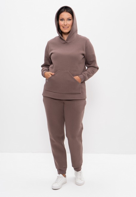 Костюм спортивный теплый с начесом худи с брюками 1162 кофейный Cleo