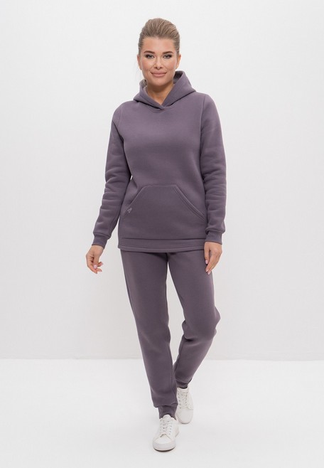 Костюм спортивный теплый с начесом худи с брюками 1162  сливовый Cleo