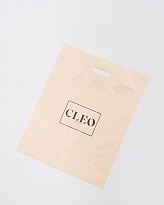 Пакет подарочный бренда CLEO 40*50 см